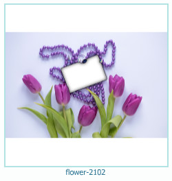 flower Photo frame 2102