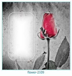 flower Photo frame 2109